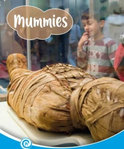 Mummies