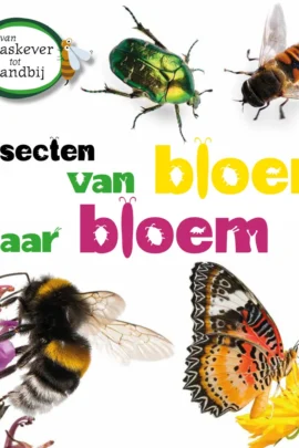 Insecten van bloem tot bloem