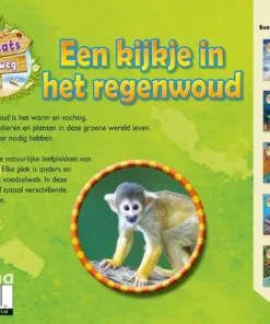 Een kijkje in het regenwoud | 9789464393378 Een kijkje in het regenwoud | 9789464393378