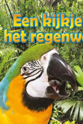 Een kijkje in het regenwoud