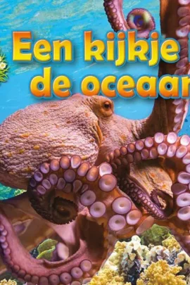 Een kijkje in de oceaan