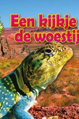Een kijkje in de woestijn