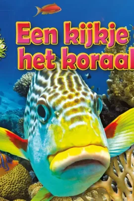 Een kijkje op het koraalrif