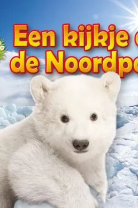 Een kijkje op de Noordpool
