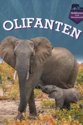 Olifanten