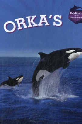 Orka's