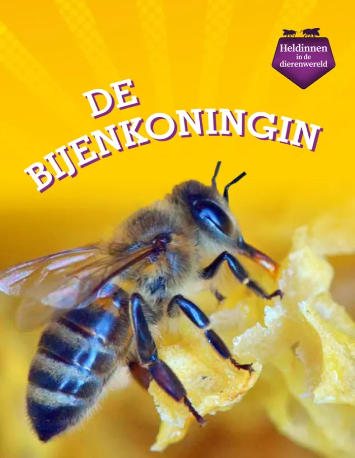 De bijenkoningin