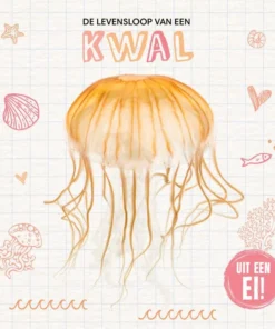 De levensloop van een kwal