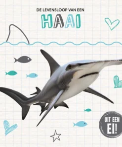 De levensloop van een haai