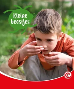 Kleine beestjes