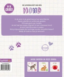 Alternative view of Hond