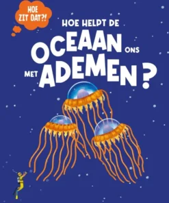 Hoe helpt de oceaan ons met ademen?