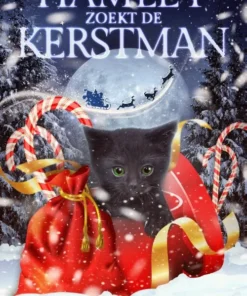 Hamley zoekt de Kerstman