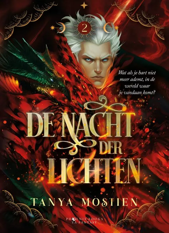 De nacht der lichten | 9789464789690 De nacht der lichten