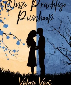 Onze prachtige puinhoop