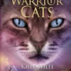 Kille stilte | 9789465303499