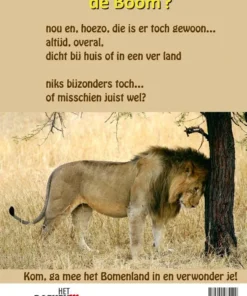 Alternative view of Boom de kampioen