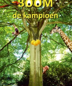 Boom de kampioen