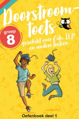 Begrijpend lezen oefenboek