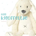 Een knuffeltje | 9789026623820 Een knuffeltje | 9789026623820