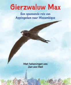 Gierzwaluw Max