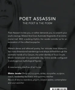 Alternative view of Poet Assassin