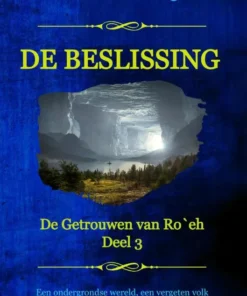 De beslissing