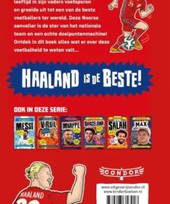 Alternative view of Haaland is de beste