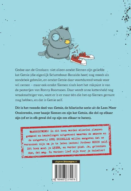 Gesmolten chocoballen en een complete kattastrofe 2 | 9789493374478 Gesmolten chocoballen en een complete kattastrofe 2 - Afbeelding 2