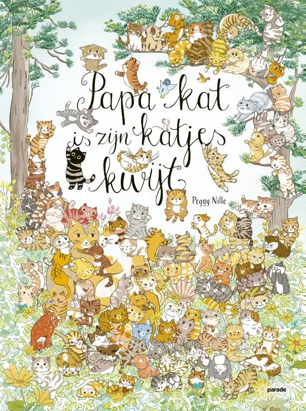 Papa kat is zijn katjes kwijt | 9789493408210 Papa kat is zijn katjes kwijt