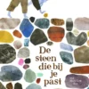 De steen die bij je past | 9789493337480