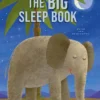 The Big Sleep Book | 9798890633538 The Big Sleep Book | 9798890633538