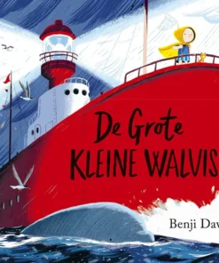 kartonboek