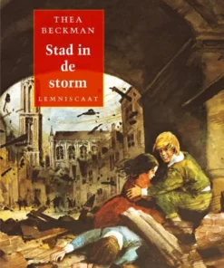 Stad in de storm