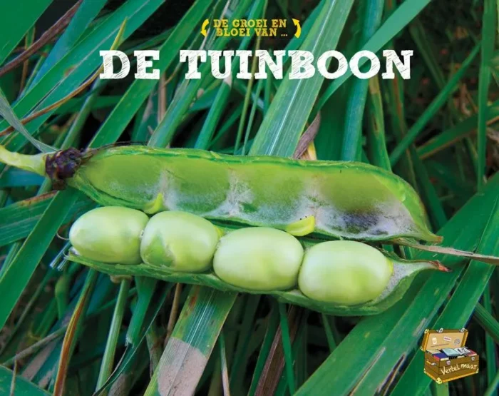 Rapunsel kinderboeken |