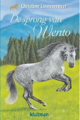 De sprong van Wento