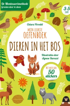 Mijn leukste oefenboek