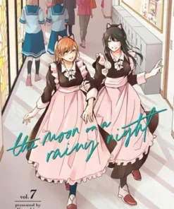 The Moon on a Rainy Night 7