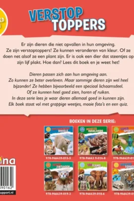 Alternative view of Verstoptoppers