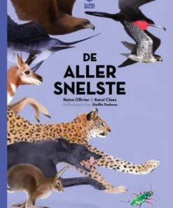 De allersnelste