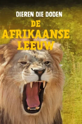 De Afrikaanse leeuw