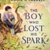 The Boy Who Lost His Spark | 9781529513622