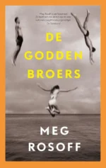 De Godden broers | 9789024596478 De Godden broers | 9789024596478