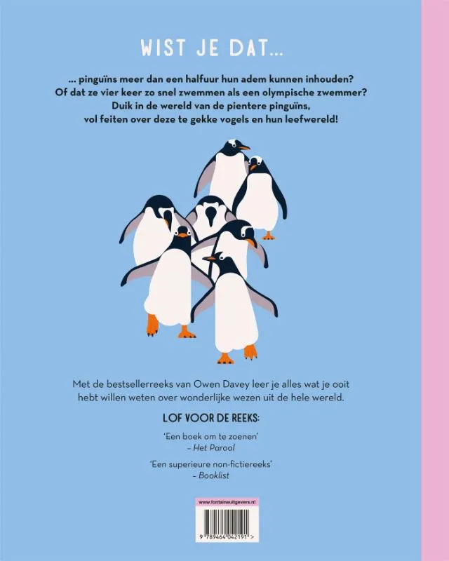 Pientere pinguïns | 9789464042191 Pientere pinguïns - Afbeelding 2