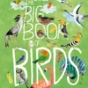 The Big Book of Birds | 9781836067320 The Big Book of Birds | 9781836067320