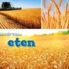 Eten | 9789464398700