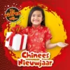 Chinees Nieuwjaar | 9789053001936 Chinees Nieuwjaar | 9789053001936