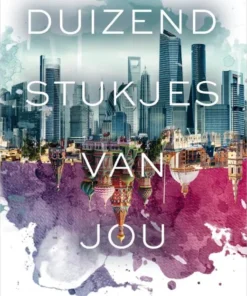 Duizend stukjes van jou