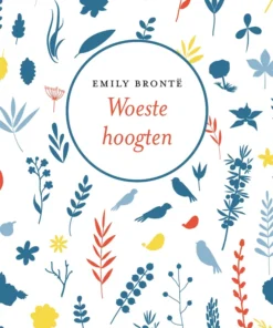 De avonturen van Huckleberry Finn