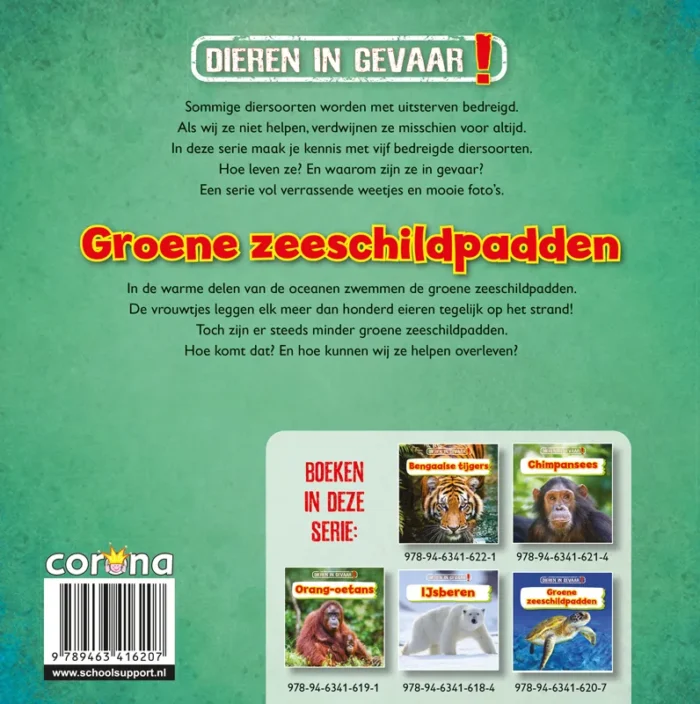 Groene zeeschildpadden - Afbeelding 2